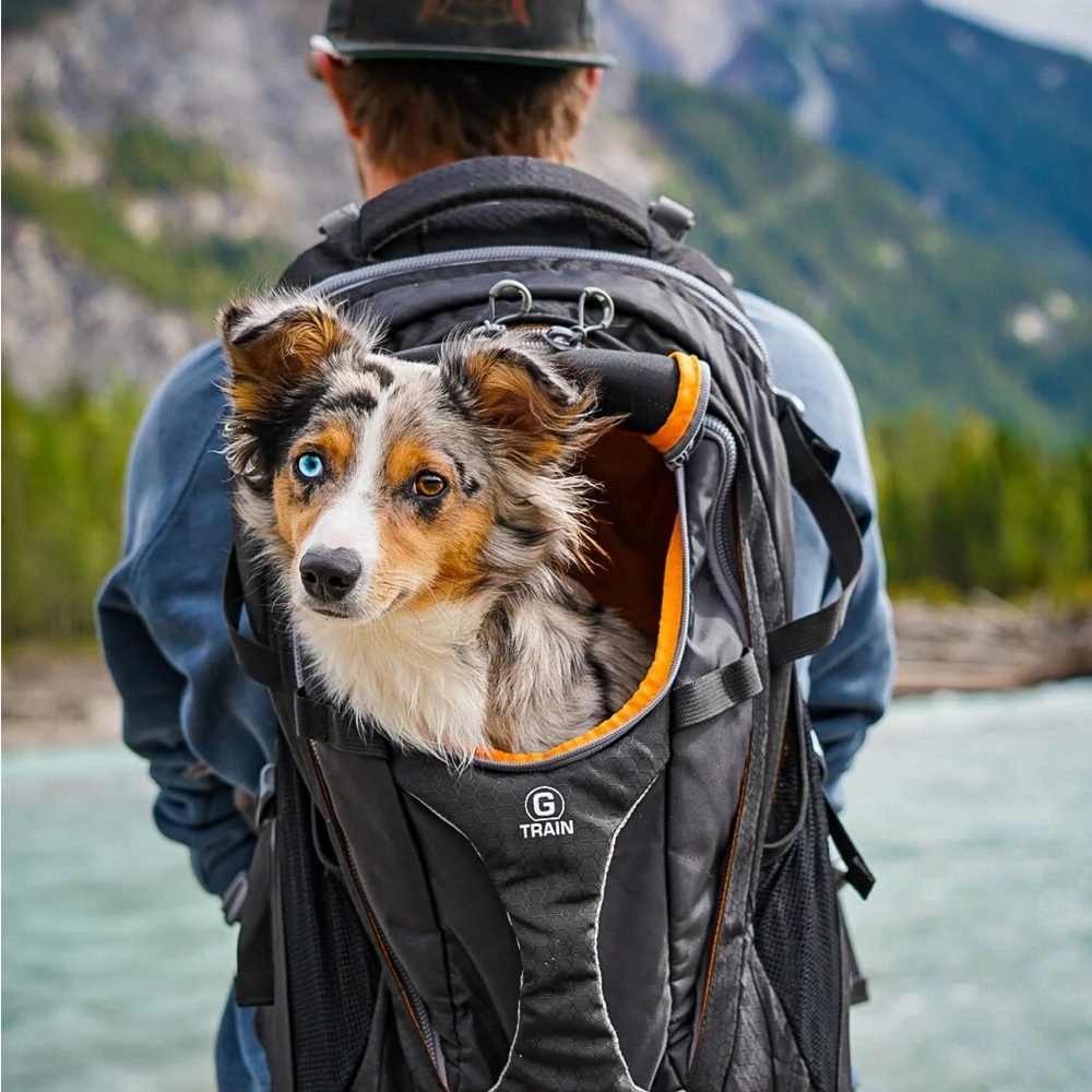 Kurgo G-Train Dog Carrier Backpack, Black - Picture 13 of 13